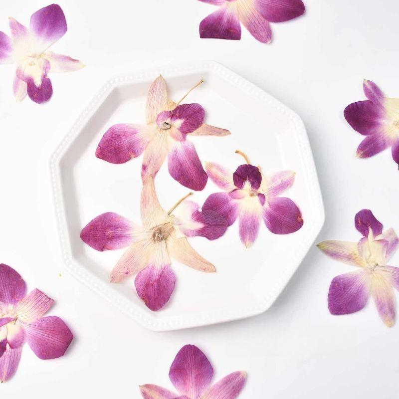Resin Art For Photo Frame - 4 piezas, Flores de Orquídea Mariposa