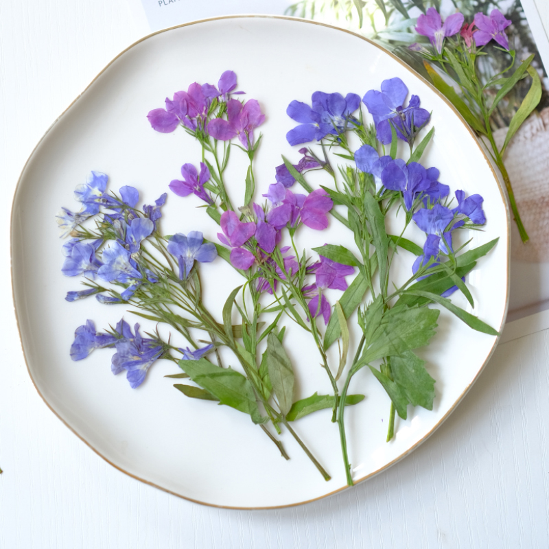 Resin Art And Jewelry - 6 piezas/8-13 cm, flores secas y