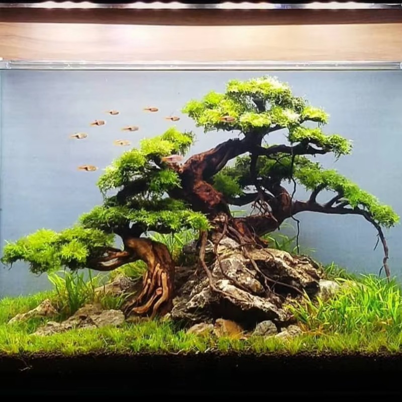Maceta de Madera Ecológica Pro - Resin Art And Wood reseña y precio