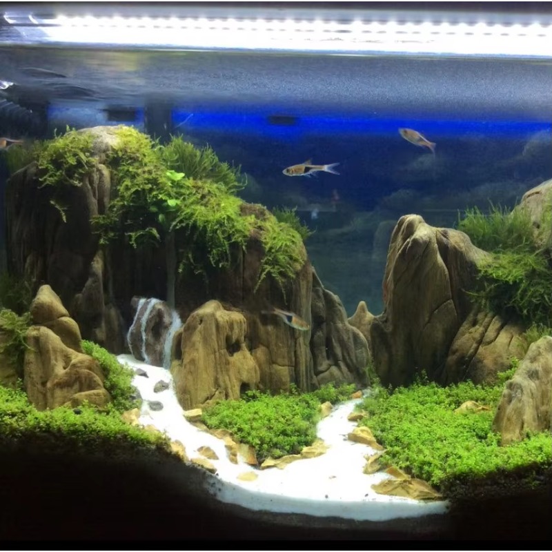 Maceta de Madera Ecológica Pro - Resin Art And Wood reseña y precio