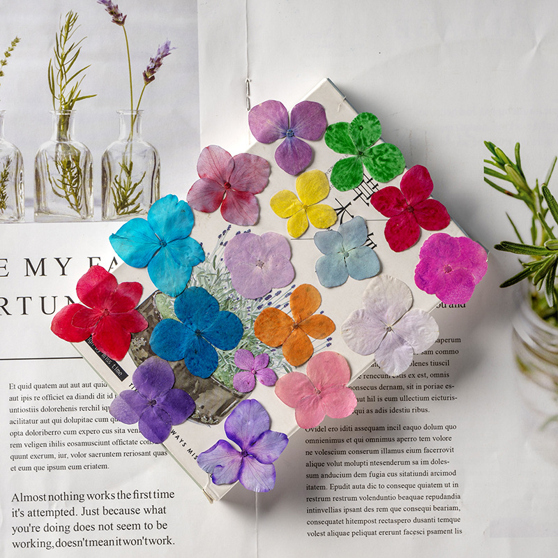 60 Piezas de Hortensias Anna A - Resin Art For Photo Frame reseña y precio