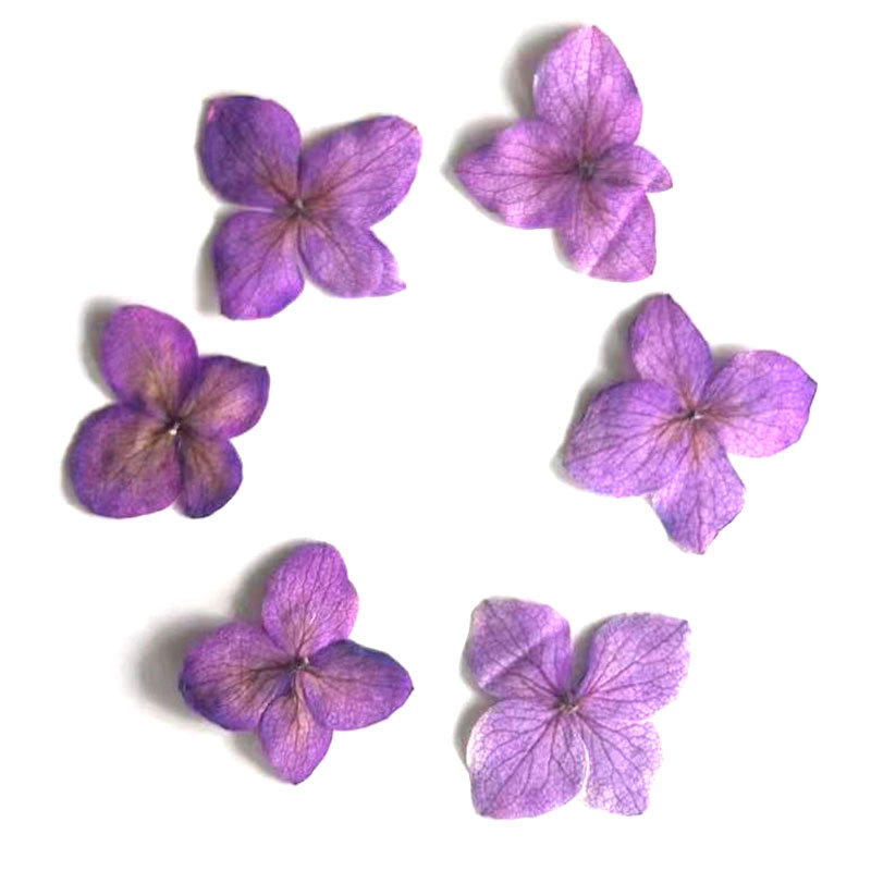 60 Piezas de Hortensias Anna A - Resin Art For Photo Frame reseña y precio