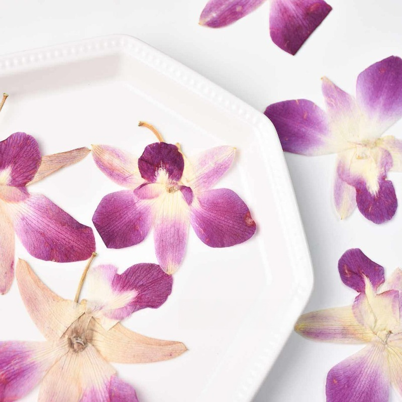 4 piezas, Flores de Orquídea M - Resin Art For Photo Frame reseña y precio
