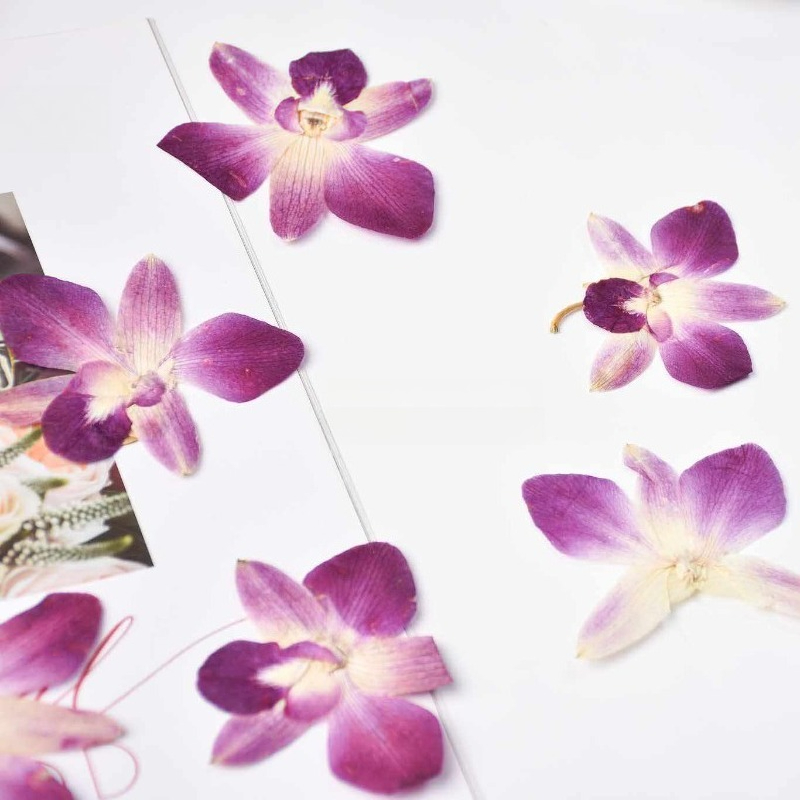 4 piezas, Flores de Orquídea M - Resin Art For Photo Frame reseña y precio