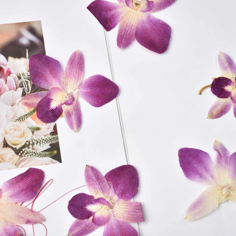 4 piezas, Flores de Orquídea M - Resin Art For Photo Frame reseña y precio