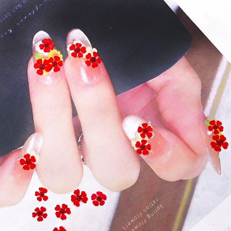 96 Piezas de Flores Naturales  - Resin Art For Photo Frame reseña y precio