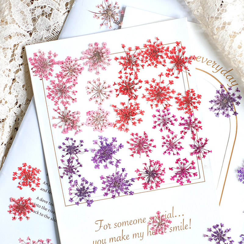 24 piezas, 2-2.5cm, Pétalos de - Resin Art And Jewelry reseña y precio