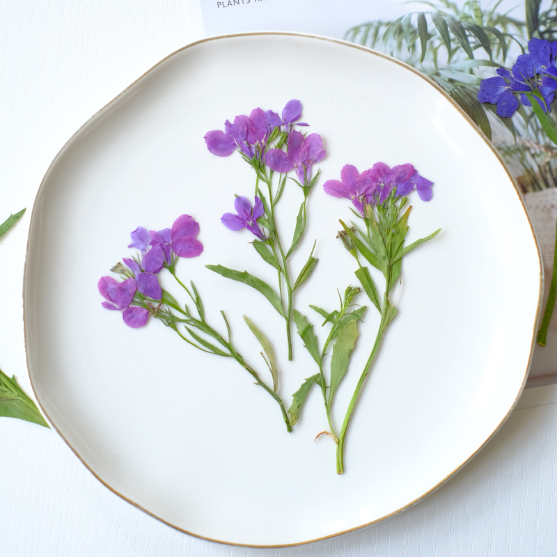 6 piezas/8-13 cm, flores secas - Resin Art And Jewelry reseña y precio